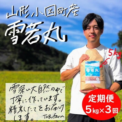 【ふるさと納税】【毎月定期便】山形県小国町産　雪若丸(精米)5kg　（有）東部開発全3回【4079123】