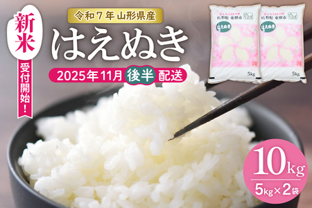 【令和7年産米】★2025年11月後半発送★はえぬき 10kg（5kg×2袋）山形県 東根市産　hi002-032-113-1　お米 米 精米 白米 2025年産 ブランド米 ご飯 おにぎり 弁当 小分け 便利 個包装 お取り寄せ グルメ ご当地 特産 産地直送 送料無料 東北 山形県 東根市