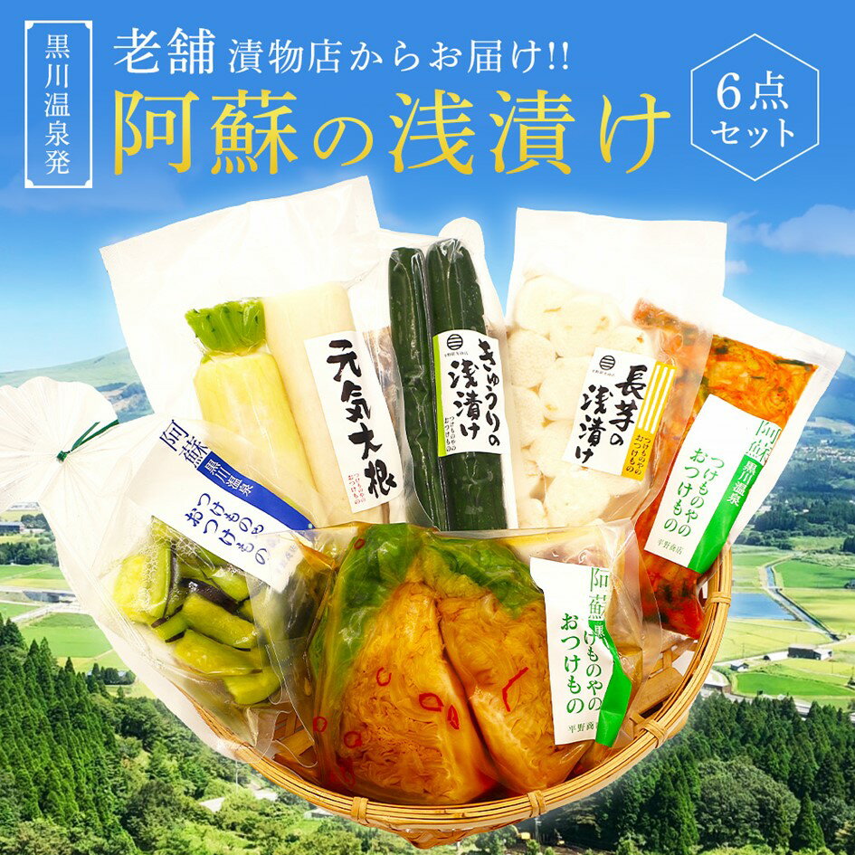 【ふるさと納税】 浅漬け 6点 セット 大根 きゅうり 茄子 ナス 長芋 キャベツ 白菜キムチ 漬物 キムチ 詰め合わせ 野菜 お取り寄せ ギフト 贈答用 黒川温泉 九州 熊本 阿蘇 南小国町 送料無料