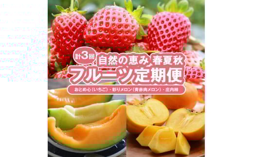 ≪3回定期便≫ 自然の恵み 春・夏・秋フルーツ定期便(2)2026 4月下旬～5月下旬 おとめ心 いちご 7月上旬～7月下旬 彩りメロン 青肉 赤肉 10月中旬～11月下旬 柿 計3回 山形県酒田産 着日指定不可 先行予約 頒布会 イチゴ カキ 春 夏 秋 JAそでうら　SC0629