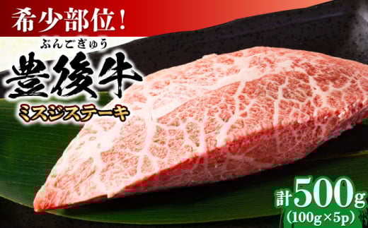 【厳選希少部位】おおいた豊後牛 ミスジステーキ 約500g(100g×5P) 日田市 / 株式会社MEAT PLUS 牛肉 おおいた豊後牛 おおいた 豊後牛 黒毛和牛 ステーキ 国産  みすじ ミスジ ミスジステーキ 希少部位 希少 [AREI025]