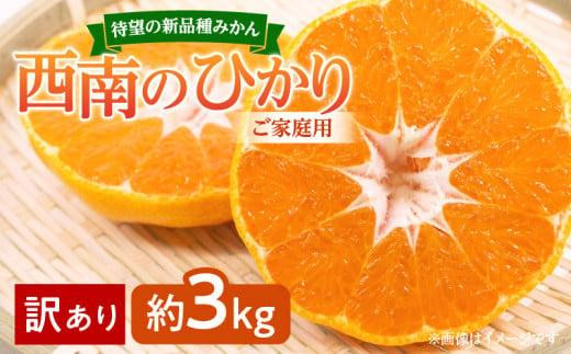 
＼寄附額改定／【訳あり 】待望の新品種みかん　西南のひかり　ご家庭用　約3kg【2024-12月上旬～2025-1月上旬配送】
