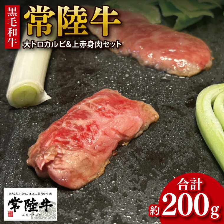 【ふるさと納税】《楽天限定》【数量限定】【最短7日発送】黒毛和牛 常陸牛 大トロカルビ(約100g) 上赤身肉(約100g)セット｜肉 牛肉 和牛 国産 茨城県産 すぐ 届く(HI-1)
