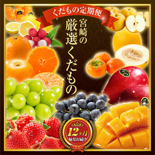 青果店チョイス！くだもの定期便Vol.6（全12回）国産 フルーツ 果物 1年間 毎月お届け 産地直送【G49】