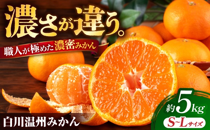 
                  【先行予約】 旨み凝縮！ 飛龍台木 白川 温州 みかん S～Lサイズ 約5kg 【小春農園】 ミカン 蜜柑 温州みかん 山鹿 熊本県産 フルーツ 果物 国産 お取り寄せ 産地直送 [ZBN009]
                