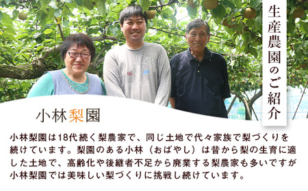 梨 にっこり 約3kg 6玉～12玉 梨
