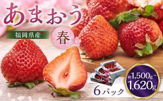 福岡産【春】あまおう6パック いちご 苺 イチゴ 果物 くだもの フルーツ 冷蔵 【2026年2月上旬～3月下旬発送予定】