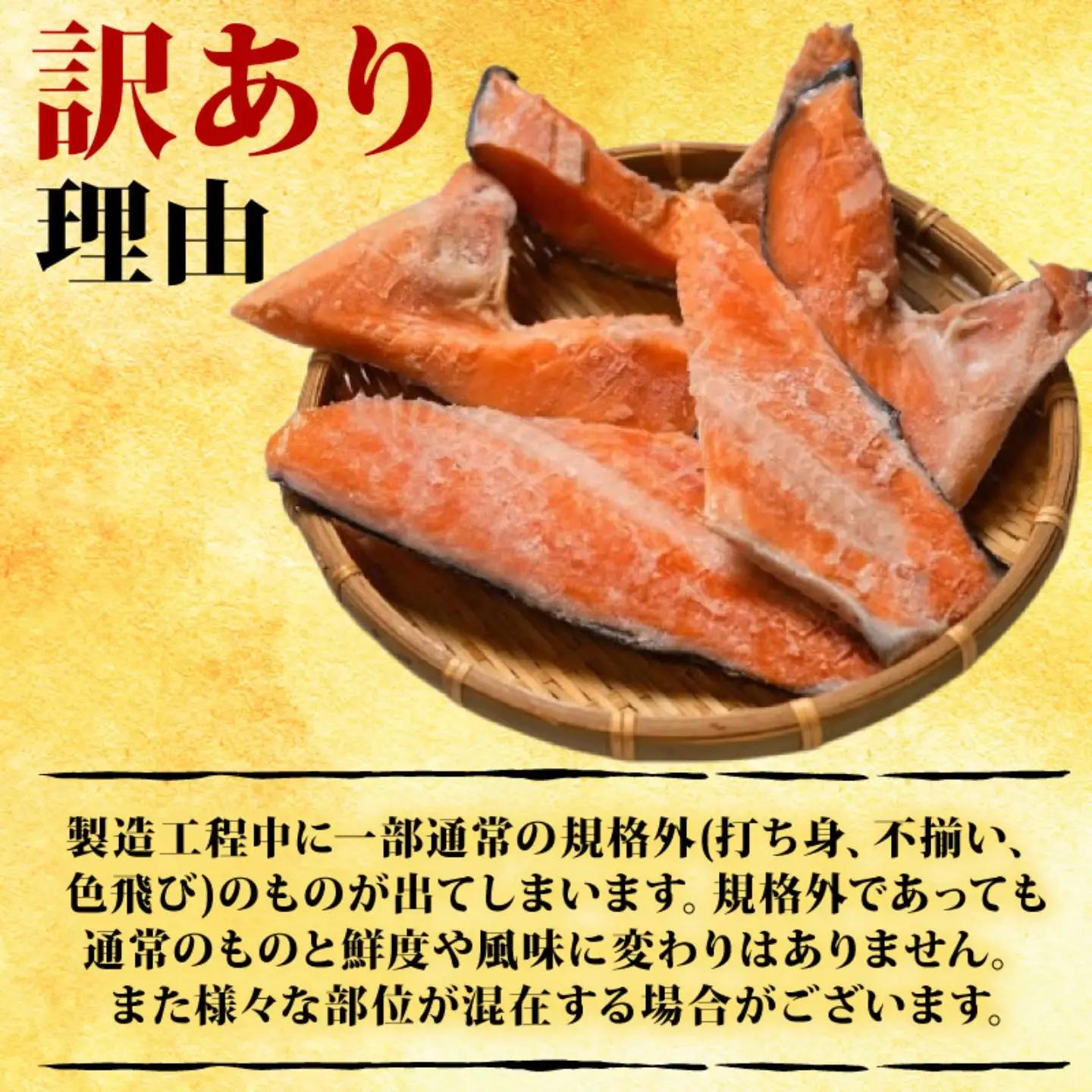 訳あり 銀鮭 1.6kg 鮭