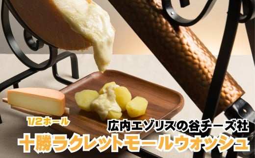 AE-5701 広内エゾリスの谷 十勝ラクレットモールウォッシュ（1/2ホール）