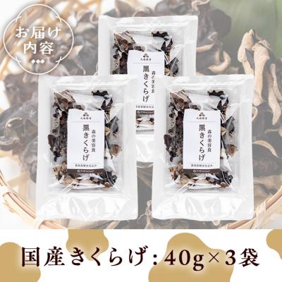 ふるさと納税 曽於市 国産きくらげ (40g×3袋) |  | 01