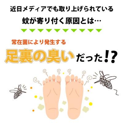 ふるさと納税 多治見市 マジ蚊シート　5組セット |  | 03