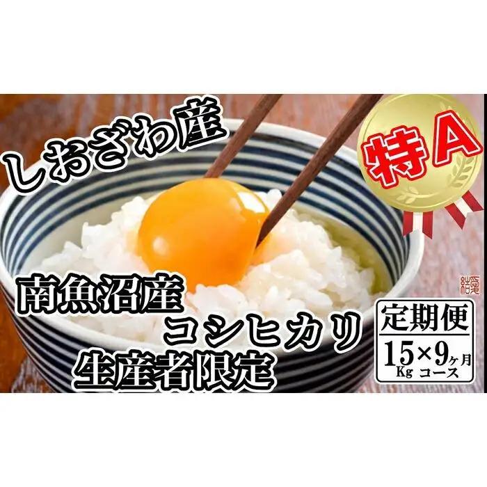 【令和7年産】【定期便／15kg×9ヶ月】生産者限定 契約栽培 南魚沼しおざわ産コシヒカリ【定期便 銘柄米 ブランド米 精米 こしひかり コシヒカリ 魚沼産 新潟米 産地直送 お米 米 こめ コメ ご飯 御飯 ごはん】