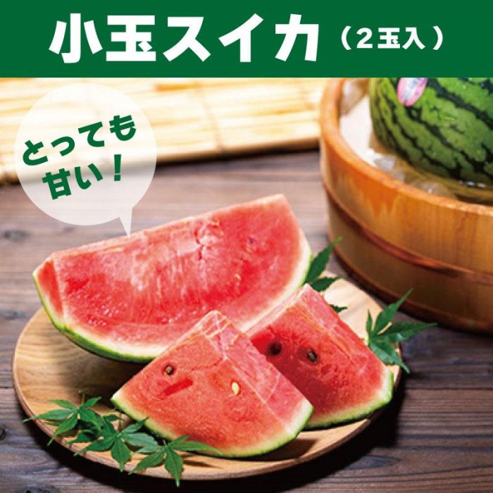 【ふるさと納税】とっても甘い！食べきりサイズの小玉スイカ　ひとりじめ　2玉入［HC2］ | 和歌山 返礼品 支援 楽天ふるさと 納税 お取り寄せグルメ 取り寄せ グルメ フルーツ 果物 くだもの すいか スイカ 小玉 西瓜 小玉スイカ 小玉すいか こだまスイカ