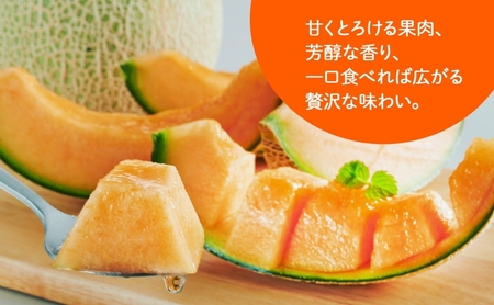 ＜2026年発送＞ふらの産 しあわせのメロン 赤肉 4～5玉 計8kg メロン 富良野メロン