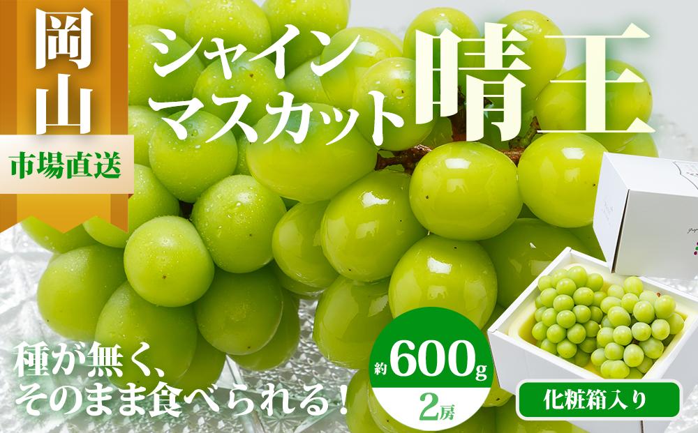 ぶどう 2024年 先行予約 シャイン マスカット 晴王 2房（1房 600g以上）化粧箱入り マスカット ブドウ 葡萄  岡山県産 国産 フルーツ 果物 ギフト [No.5220-0811]