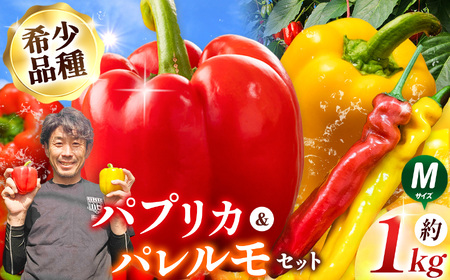 【先行受付：2026年発送】パプリカ＆パレルモ(希少品種)　Mセット　約1kg | パプリカ パレルモ 野菜 希少 ジューシー フレッシュ ヘルシー ふるさと納税 信州 長野県 松本市