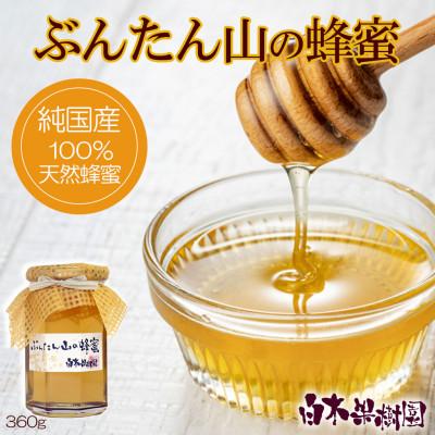 ふるさと納税 土佐市 爽やかな香り広がる100%天然蜂蜜　ぶんたん山の蜂蜜　360g