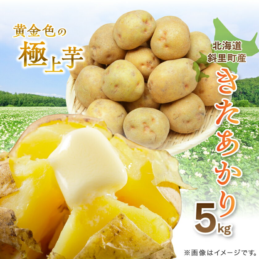 【ふるさと納税】知床の大自然が育む黄金色の極上芋　きたあかり　5kg【配送不可地域：離島・沖縄県】【1537870】