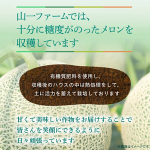 山一ファームの『クインシーメロン』1個入り