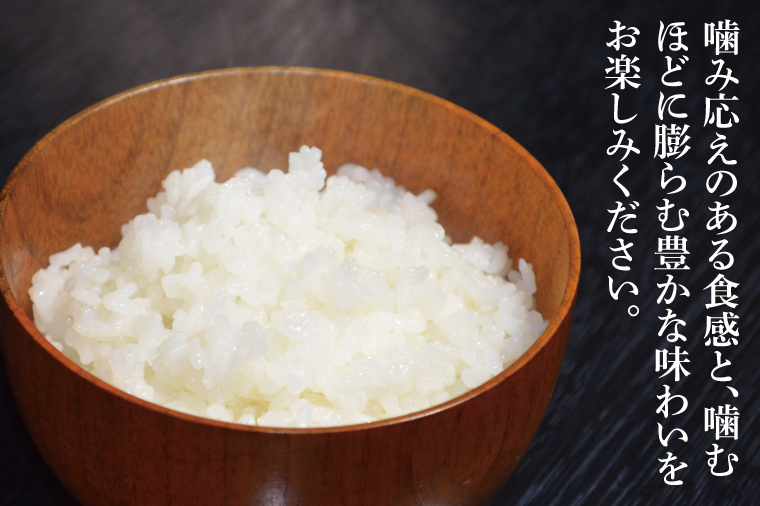 令和7年産 茨城県産 ふくまる10kg（5kg×2袋）【お米 米 ごはん 茨城県】（03-62）