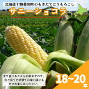 【ふるさと納税】［2024年出荷先行予約］もぎたてとうもろこし黄色18～20本【十勝幕別 北海道ホープランド農場】　野菜・とうもろこし・トウモロコシ　お届け：2024年9月上旬～2024年9月下旬