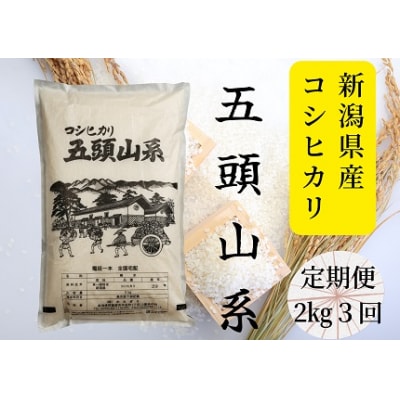 【3回定期便】「米屋のこだわり阿賀野市産」コシヒカリ2kg×3回