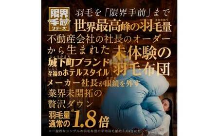 【限界手前シリーズ】超超増量2.4kg 羽毛布団 ダブル 羽毛掛け布団 本掛け 布団 羽毛 羽毛ふとん 掛け布団 ダブルロング 寝具 福岡県 柳川市