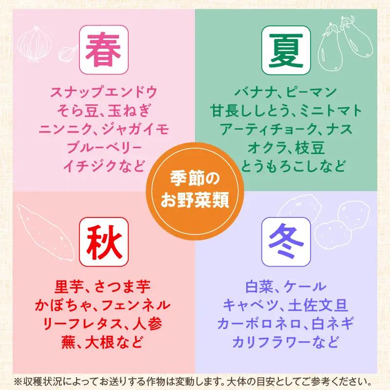 農業姉妹がこだわって栽培！ 白米5kgと旬の野菜詰め合わせ8種 1年定期便【024A-029】