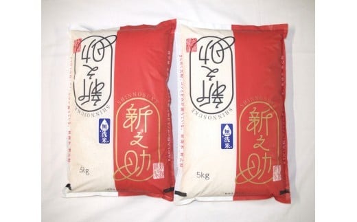 【令和7年産米】【無洗米】特別栽培米 新潟県村上市岩船産 新之助10kg 1029008