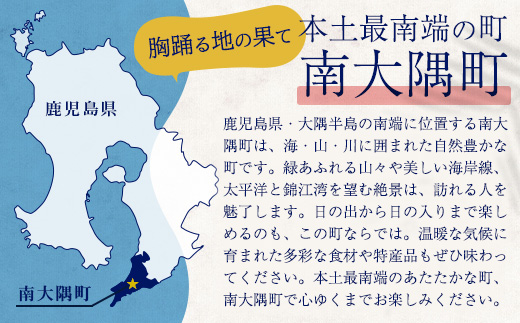 【返礼品なし】南大隅町への寄附　1口30,000円 MN-5