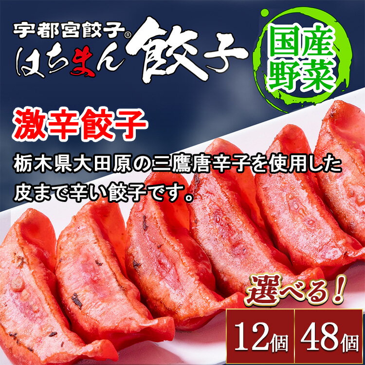 【ふるさと納税】【選べる内容量】宇都宮餃子 はちまん餃子 激辛餃子 ｜ 宇都宮餃子 国産野菜 グルメ 宇都宮市 餃子 冷凍 ぎょうざ ギョーザ 野菜 冷凍食品 冷凍餃子 焼き餃子 水餃子