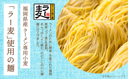 《先行予約》【4～8月発送】福岡県産ラー麦 冷し中華セット