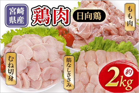 宮崎県産 日向鶏 3種セット 約2kg 国産 鶏 肉 精肉 モモ もも肉 使いやすい パック 真空冷凍 切り身 選べる数量 お弁当 惣菜 からあげ 照り焼き 数量限定 BBQ バーベキュー 鶏ムネ 鶏むね 鳥モモ ささみ ササミ 小分け 