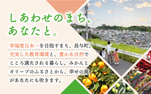 【3回定期便】長崎ちゃんぽん 毎月6食 長与町/リンガーハット [EBQ003] 麺 ちゃんぽん チャンポン 冷凍 具入り ちゃんぽん麺 長崎 リンガーハット 簡単