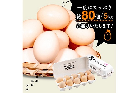 【定期便】 京都 こだわり たまご くろ丹波 30個 × 6ヶ月 定期便 ( 卵 たまご 濃い 玉子 セット 玉子焼き 卵焼き 毎月 6か月 定期 6回 お届け 卵かけご飯 ゆで卵 鶏卵 卵黄 丹波