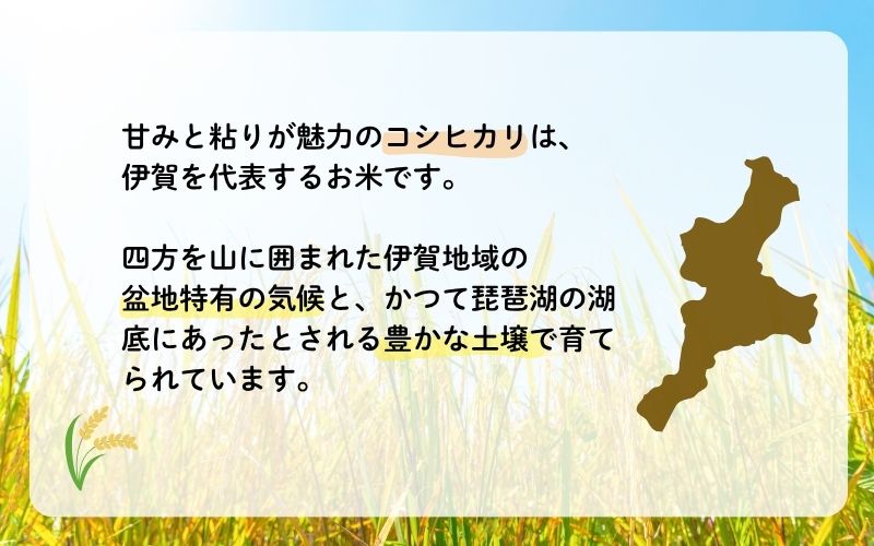 令和7年産 伊賀米コシヒカリ 10kg（3ヶ月連続）【jaig-tkb0001】
