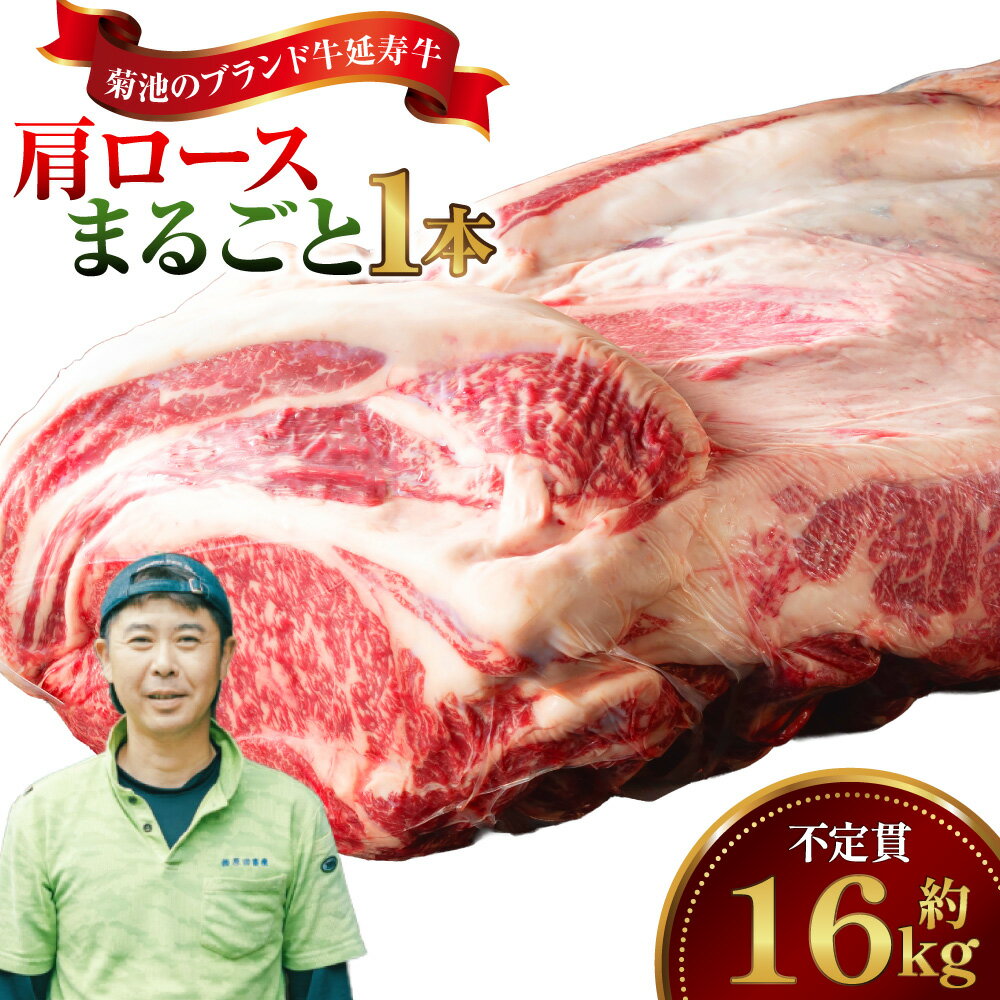 【ふるさと納税】菊池のブランド牛 延寿牛 肩ロース まるごと1本 不定貫（約16kg） 赤牛 牛肉 お肉 霜降り 赤身 すき焼き すきやき しゃぶしゃぶ 冷蔵 熊本県産 国産 九州 熊本県 送料無料