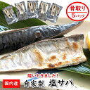 【ふるさと納税】【数量限定】焼いときました！（レンチン）国産 骨取り 塩サバ 5パック 個包装 訳あり 無添加 80g×5パック さば サバ 鯖 塩さば 骨なし 骨無し 骨抜き 個別包装 おかず 冷凍 兵庫県 新温泉町 送料無料