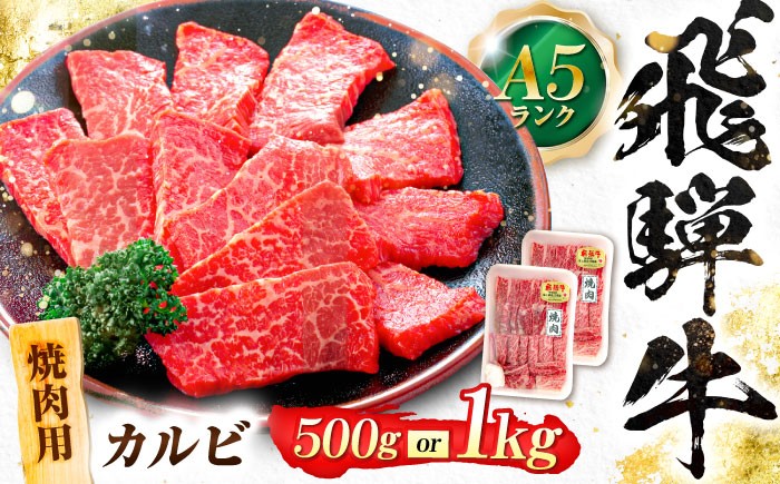 
                  【選べる容量】飛騨牛 A5等級 焼肉用 カルビ カルビ カルビ焼肉 カルビ肉 焼肉 焼き肉 やきにく 焼肉セット 焼肉用 最高級 a5 A5 牛 和牛 牛肉 お肉 高級 贈答ギフト 岐阜市 / 肉の松久 [ANIP007]
                
