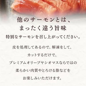 【【国産】高級サーモン】【皮なしフィレ 約500g×2枚】産地直送 おつまみ 高級 ※沖縄・離島への配送不可