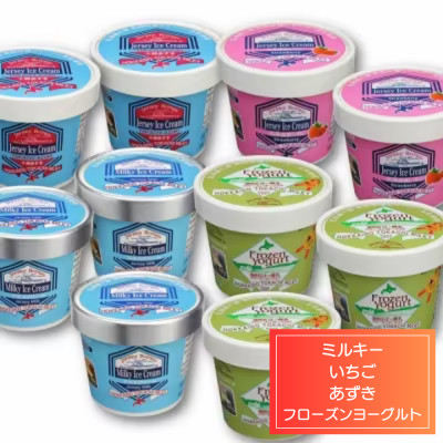 十勝ジャージーミルキーアイスクリームバラエティセットA【1706】【配送不可地域：離島】【1451315】