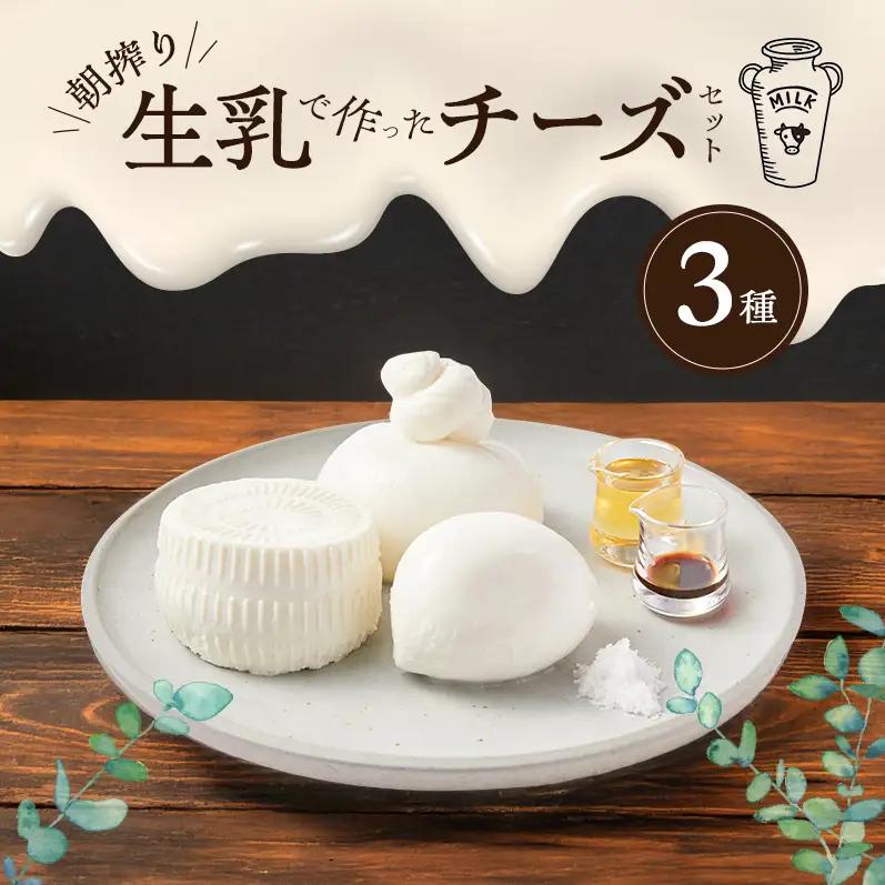 淡路島 朝搾り生乳で作った チーズ 3種 セット 洲本市