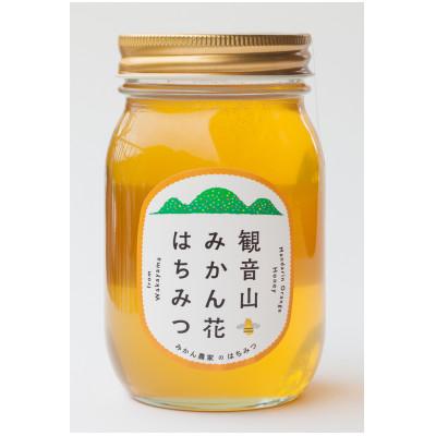 ふるさと納税 紀の川市 観音山みかんはちみつ600g