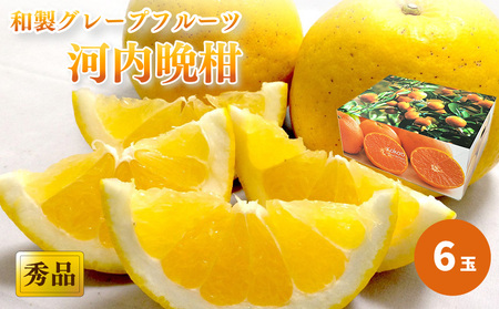 河内晩柑 秀品 ６玉 ギフトBOX入り｜和製グレープフルーツ みかん かんきつ 【KK3151】