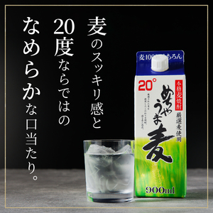 【定期便3回】本格麦焼酎 めちゃうま麦飲み比べ900mlパック×6本セット 〔Tk071〕
