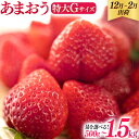 【ふるさと納税】量が選べる 福岡県産 あまおう 500g〜1.5kg（2〜6パック） 12月 2月 1月 発送 いちご 苺 フルーツ 果物 くだもの 大粒Gサイズ グランデ 農家直送 大粒 不揃い 福岡県 福岡 九州 グルメ お取り寄せ