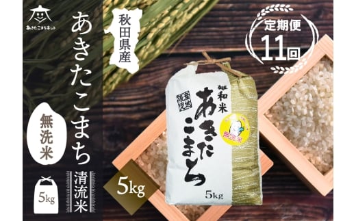 《定期便11ヶ月》あきたこまち 清流米 5kg 【無洗米】秋田市雄和産 [秋田県産 あきたこまち お米 精米 定期便 5kg 5キロ]