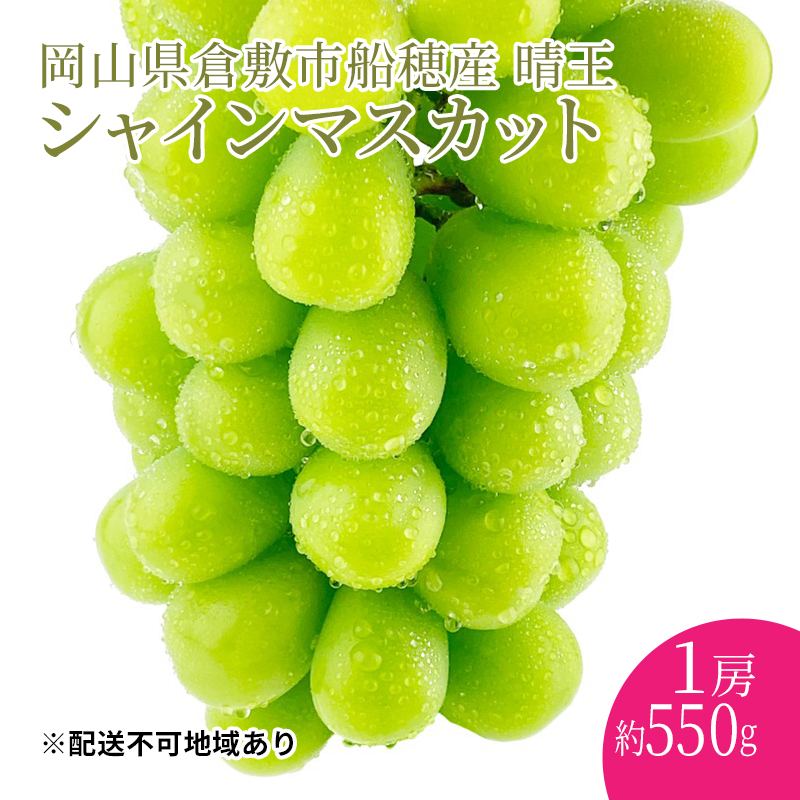 ぶどう 2024年度分 先行予約 【プレミアムシャインマスカット 晴王 1房 約550g】船穂産　赤秀品以上  岡山県産 葡萄 ブドウ ギフト ハレノフルーツ 皮ごと食べる みずみずしい