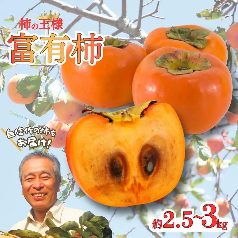 先行予約 富有柿  約2.5～3kg 秀優混合 サイズ混合 【2026年11月中旬～12月下旬頃発送予定】～こんな美味しいの「食べるのはじめてや!」の感動をお届けします。～ / 柿 富有柿 和歌山県 かつらぎ町 秋の味覚 フルーツ 果物 甘い 美味しい 旬【G-art044】