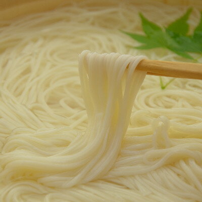 【ふるさと納税】【期間限定】和泉手延べ麺　半生もどし長そうめん　たつみ麺店【1297419】